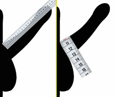measure the diameter of the penis before enlargement